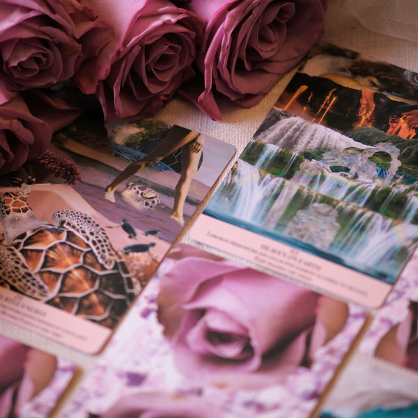 Divine Codes Oracle Tarot Cards Deck