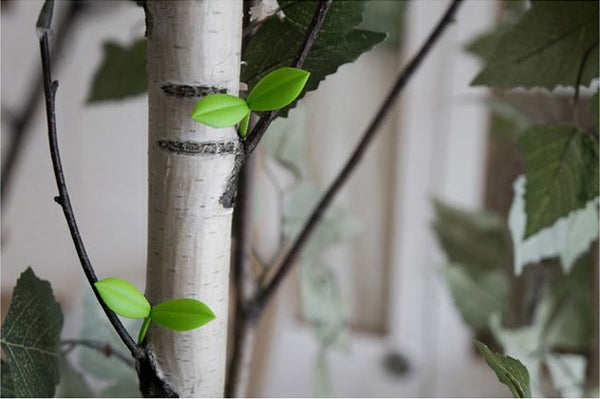 Set of 4 Green Sprout Book Marks