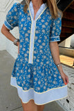 Blue Floral Striped Frill Neck Button-Up Short Sleeve Mini Dress