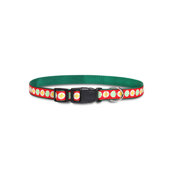 Small World Christmas - Dog Collar