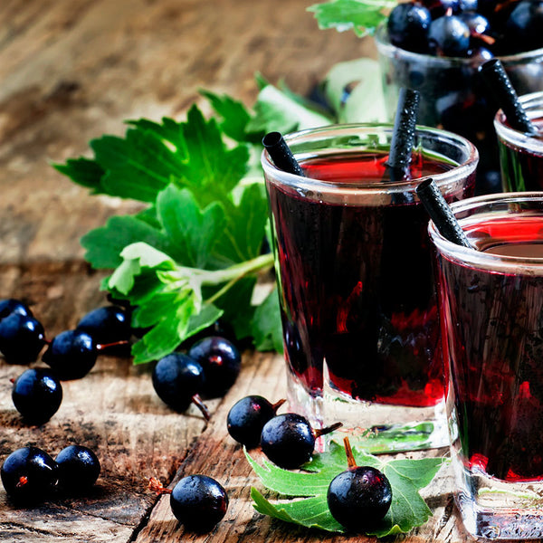 Holiday Wax Melts- 34 Scents