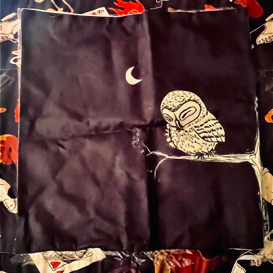 Sleepy Night Owl Decorative Pillow Case