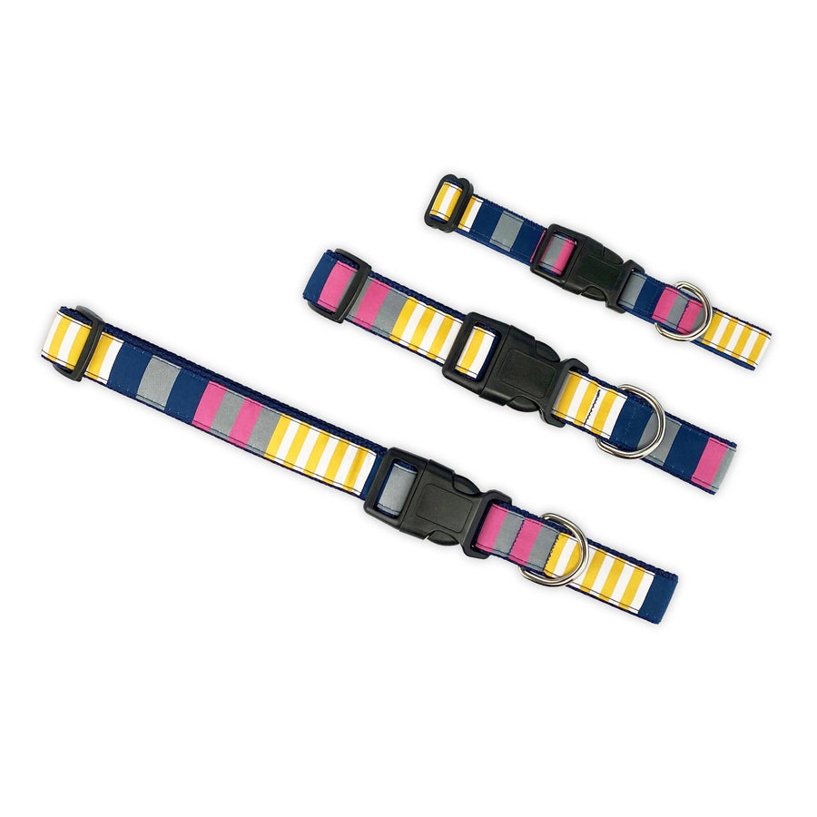 Sunshine Stripes Dog Collar- 3 Sizes