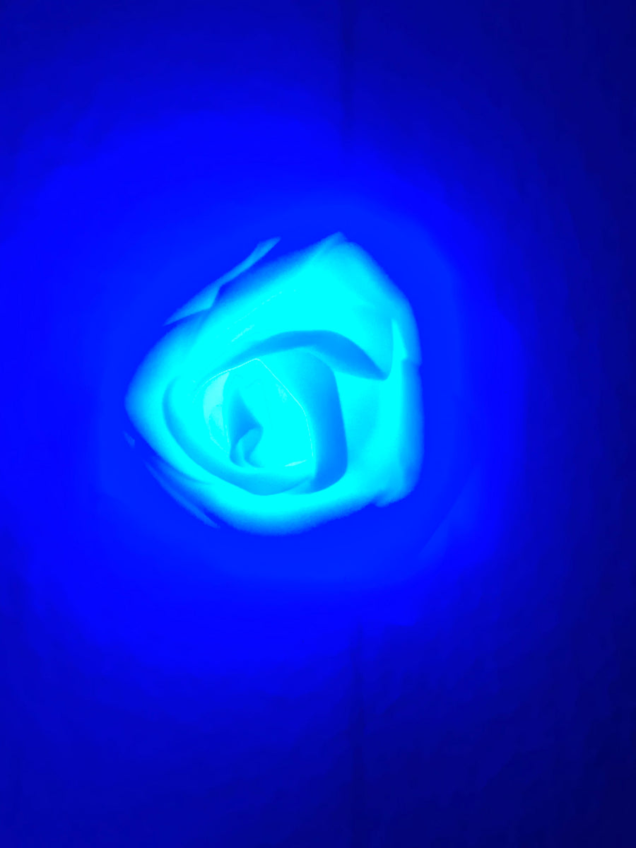 Blue Rose LED String Lights