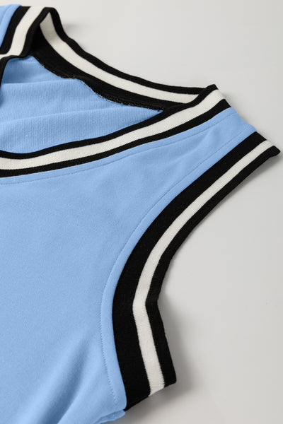 Purple Orchid Contrast Trim V Neck Sleeveless Mini Dress