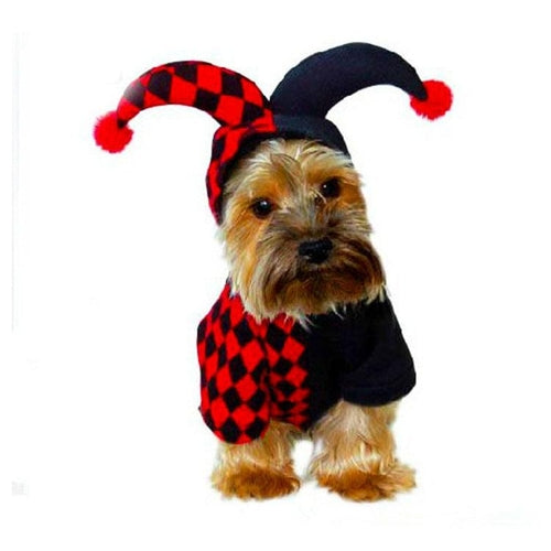 Jester Clown Pet Costume- 5 Sizes