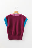 Burgundy Contrast Trim V-Neck Short Sleeve Loose Sweater