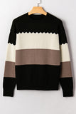 Color Block Crew Neck Drop Shoulder Scallop Detail Sweater- 3 Colors