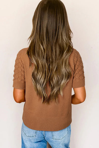 Fish Scale Textured Knit Crew Neck Short Sleeve Sweater- 2 Colors