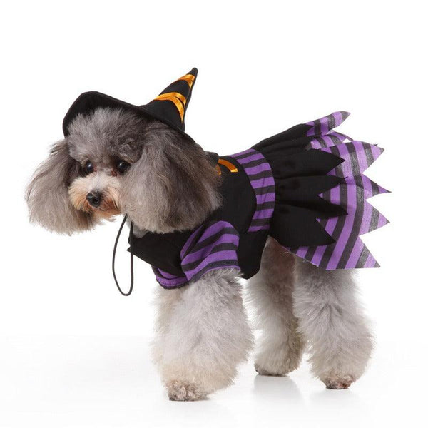 Witch Dog Costume- 4 Sizes