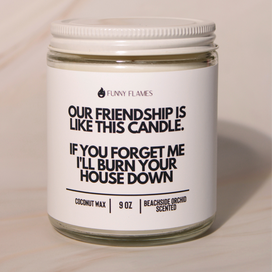 Our Friendship Is Like This Candle