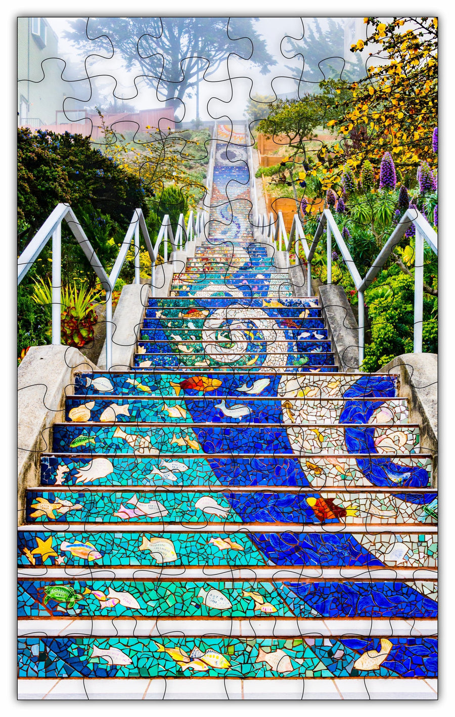 16th Street, San Francisco, California Puzzle- 3 Options