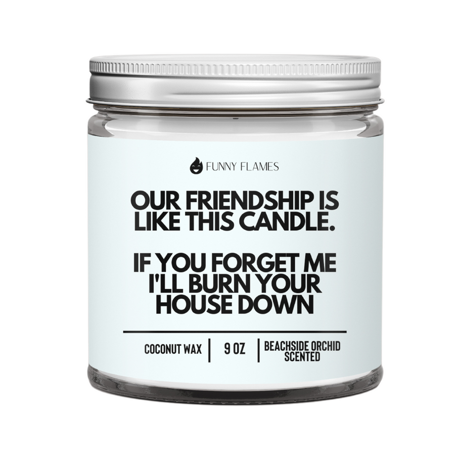 Our Friendship Is Like This Candle