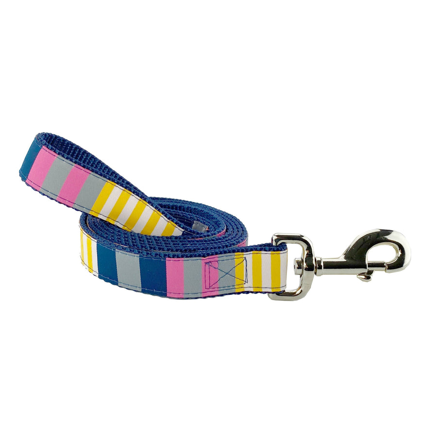 Sunshine Stripes Dog Leash- 2 Sizes