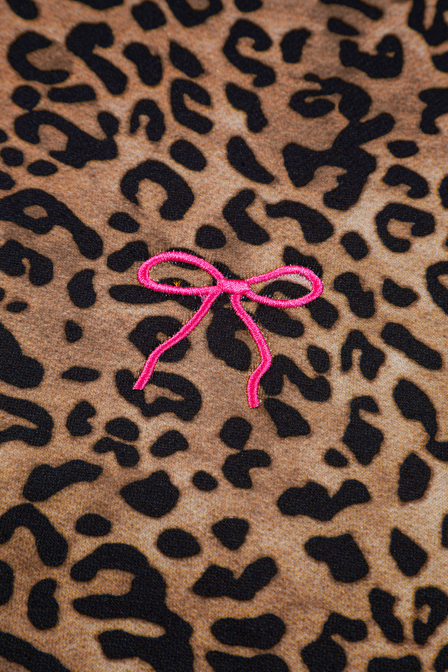 Leopard Print & Embroidered Bow Long Sleeve Top and Pants Set
