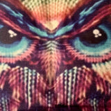 Colorful Decorative Owl Pillow Case