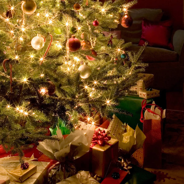 Holiday Wax Melts- 34 Scents