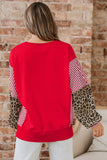 Striped Patchwork Sleeve Colorblock Sweatshirt- 3 Colors