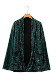 Evergreen Glitter Sequin Open Front Long Sleeve Cardigan