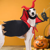 Halloween Pet Vampire Devil Cloak & Hat