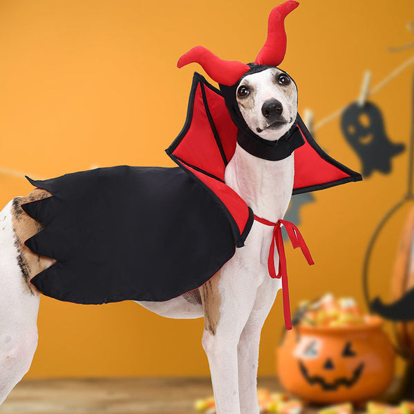 Halloween Pet Vampire Devil Cloak & Hat