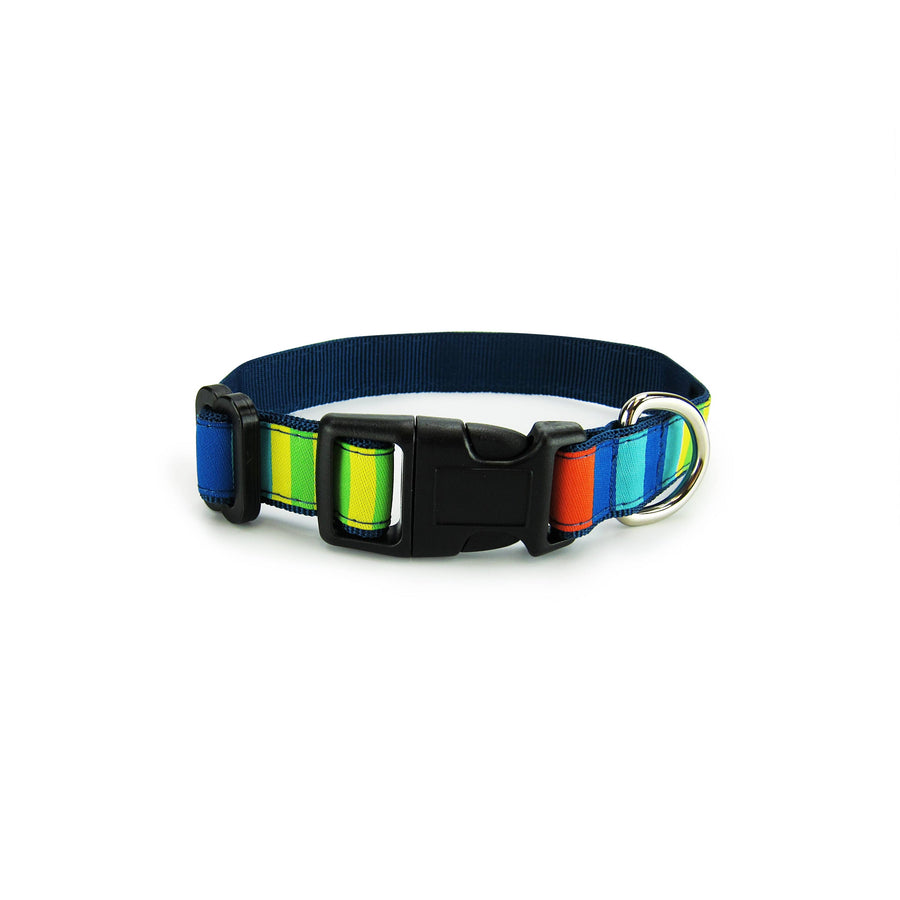 Party Stripes Dog Collar- 3 Sizes