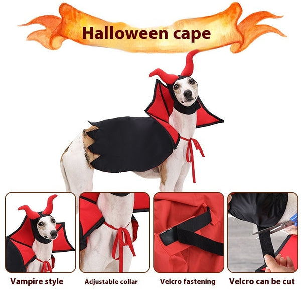 Halloween Pet Vampire Devil Cloak & Hat