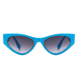 Phoenixx - Women Fashion Retro Cat Eye Sunglasses
