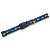 Funky Fish - Dog Collar
