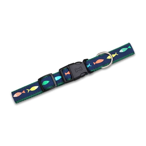 Funky Fish - Dog Collar