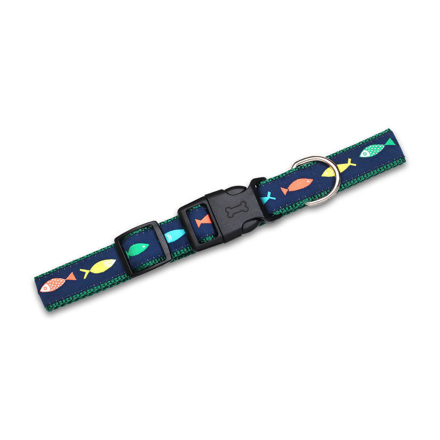 Funky Fish - Dog Collar