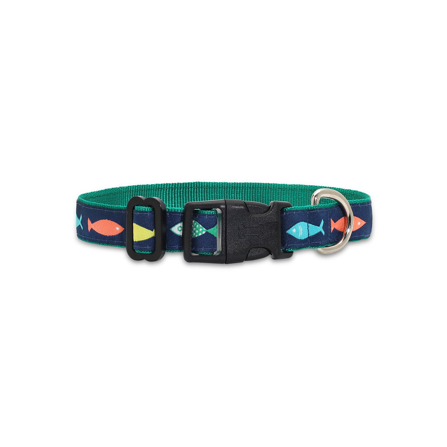 Funky Fish - Dog Collar