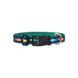 Funky Fish - Dog Collar