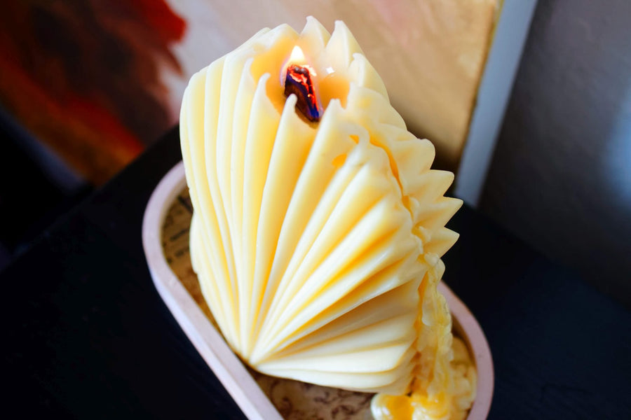 Wooden Wick Coral Shell Candle - Yellow- Lemon Cookie