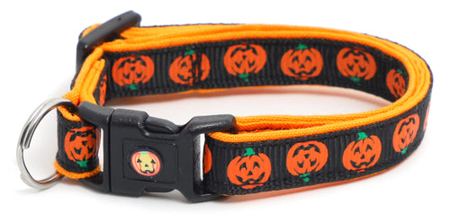 Alternating Jack-O-Lanterns on Black Cat Collar