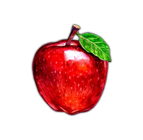 Red Apple Magnet #M012