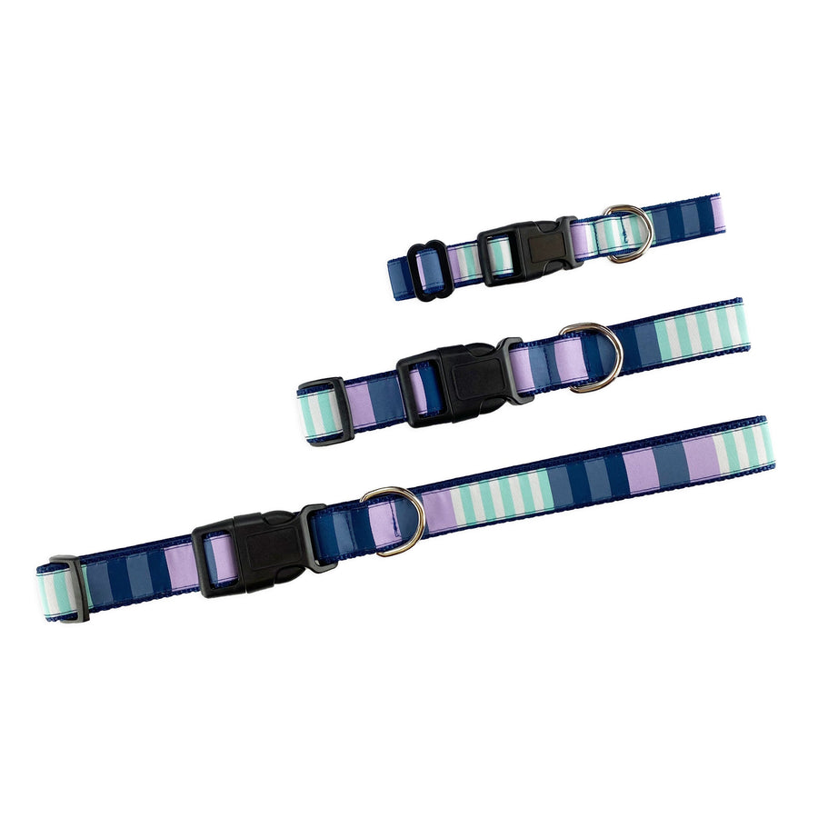 Metro Stripes Dog Collar- 3 Colors