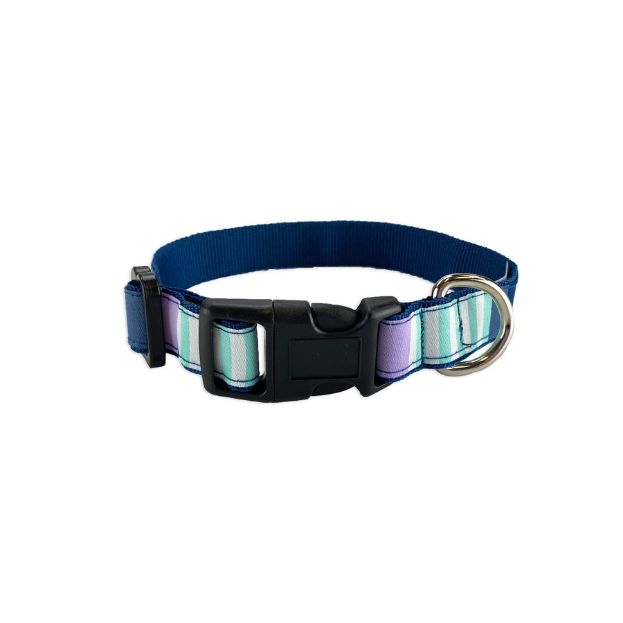 Metro Stripes Dog Collar- 3 Colors
