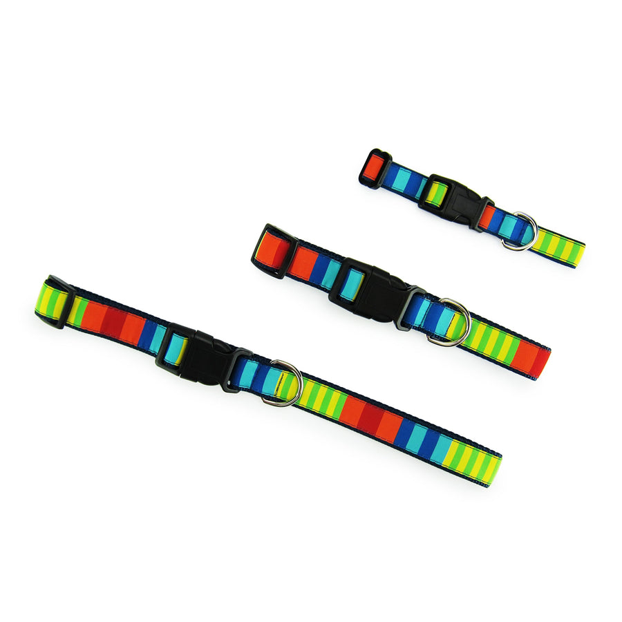 Party Stripes Dog Collar- 3 Sizes