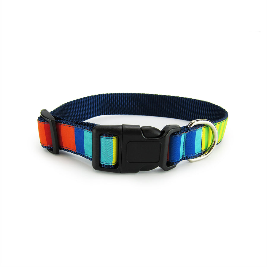 Party Stripes Dog Collar- 3 Sizes
