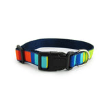 Party Stripes Dog Collar- 3 Sizes