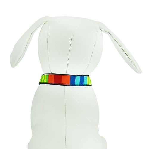 Party Stripes Dog Collar- 3 Sizes