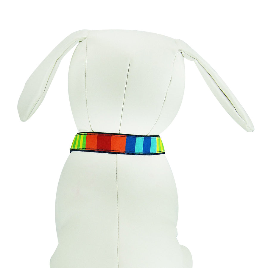 Party Stripes Dog Collar- 3 Sizes