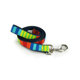 Party Stripes Dog Leash- 2 Sizes