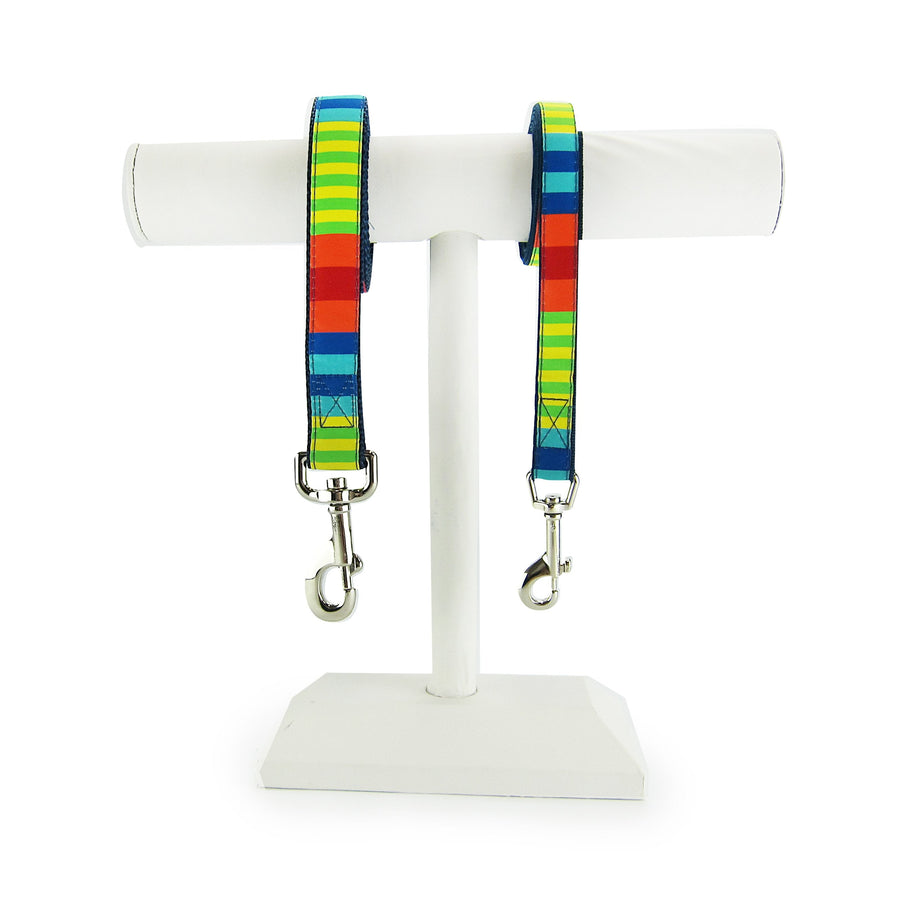 Party Stripes Dog Leash- 2 Sizes