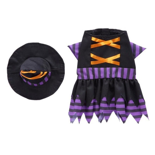 Witch Dog Costume- 4 Sizes