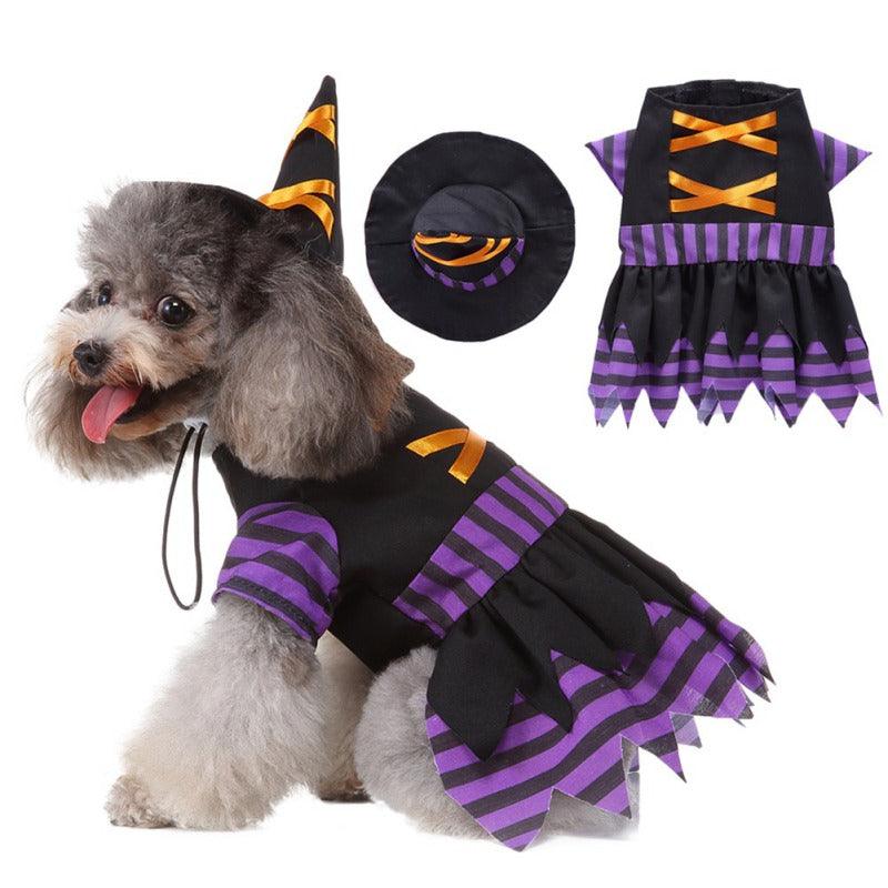 Witch Dog Costume- 4 Sizes
