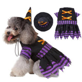 Witch Dog Costume- 4 Sizes
