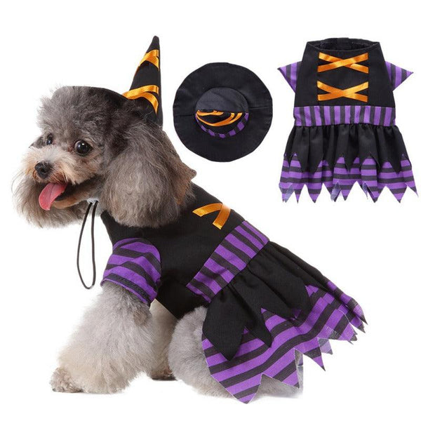 Witch Dog Costume- 4 Sizes