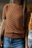 Fish Scale Textured Knit Crew Neck Short Sleeve Sweater- 2 Colors